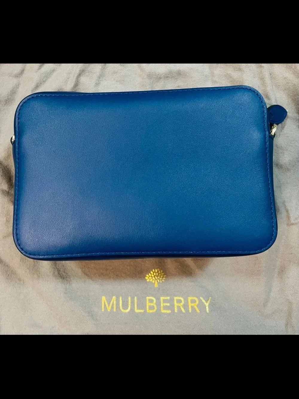 Mulberry Leather Camera Bag in Cobalt Blue